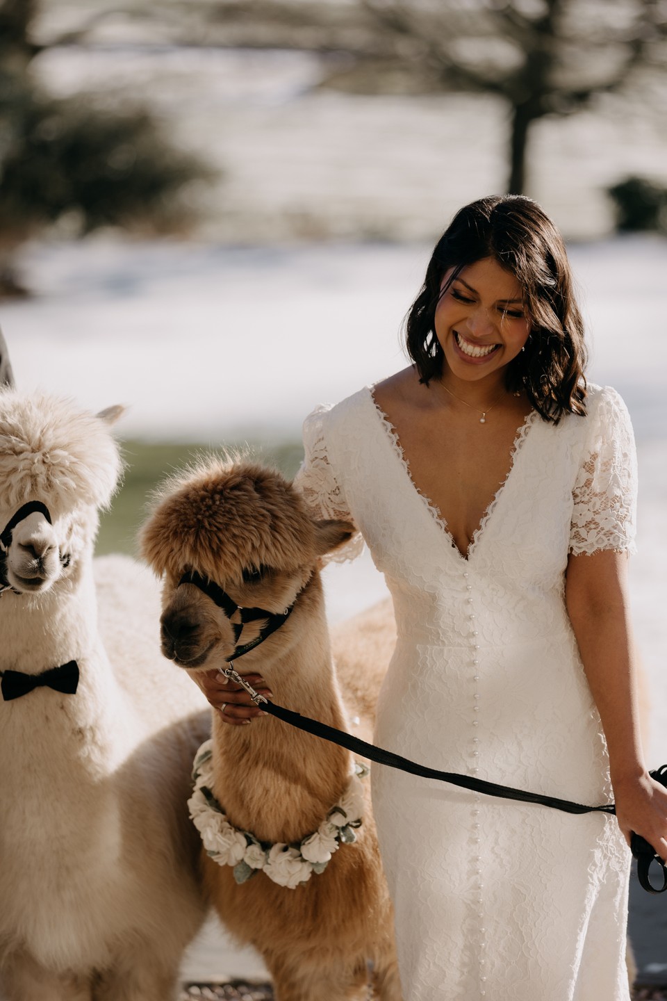 Finding your aisle style is about finding a dress that makes you as happy as Jane was when she was with the alpacas | Wedding Dress Preston